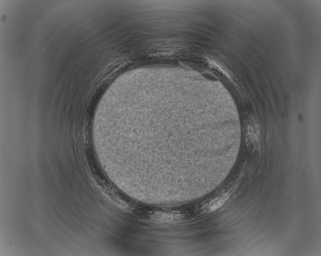 X0000062130455200601060902