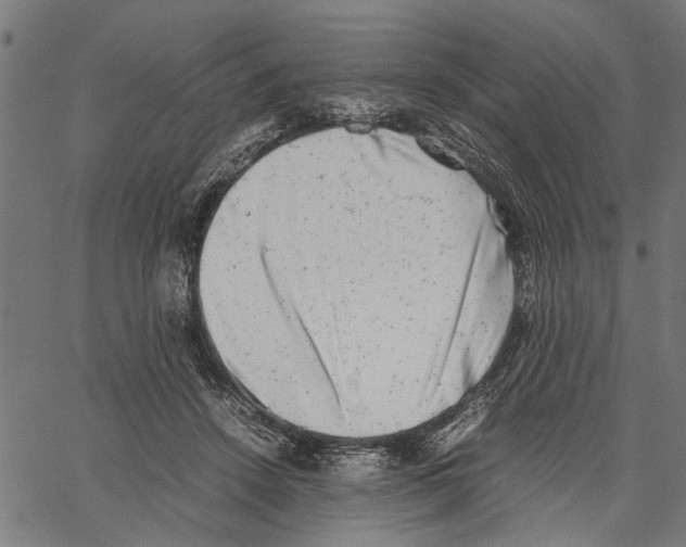 X0000062130456200601060902