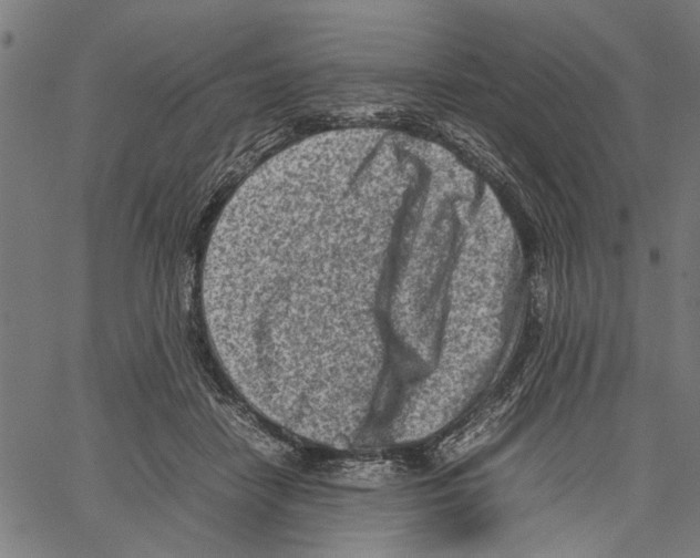 X0000062130458200601060902