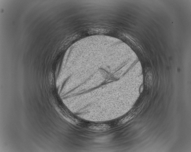 X0000062130459200601060902