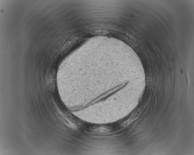 X0000062130460200601060902