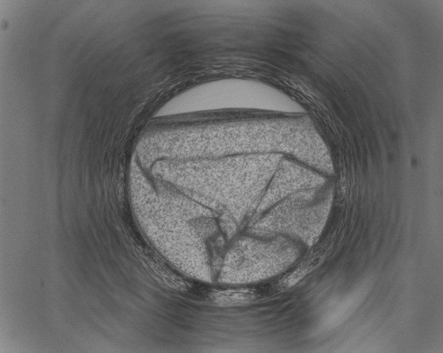 X0000062130461200601060902