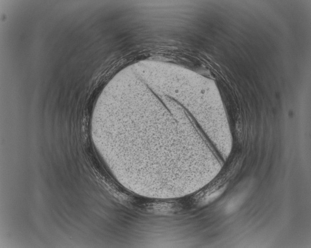 X0000062130462200601060902