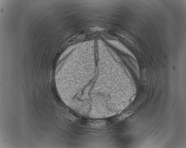 X0000062130463200601060902