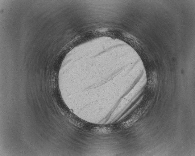 X0000062130464200601060902