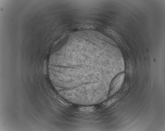 X0000062130465200601060902