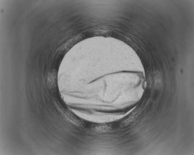 X0000062130468200601060902