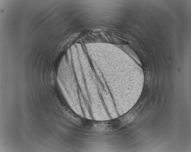 X0000062130470200601060902