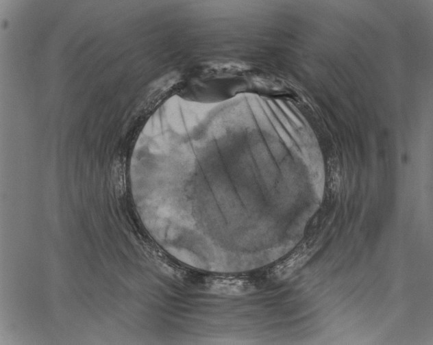 X0000062130471200601060902