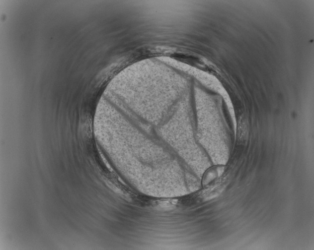 X0000062130474200601060902