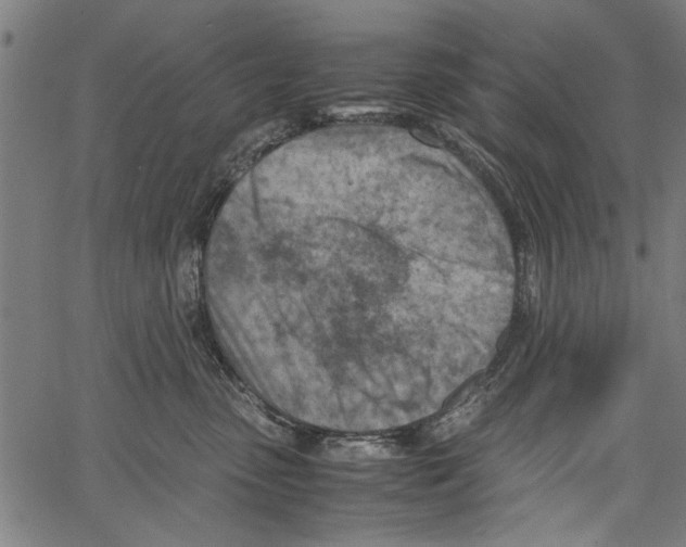 X0000062130475200601060902