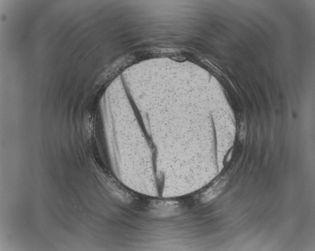 X0000062130476200601060902