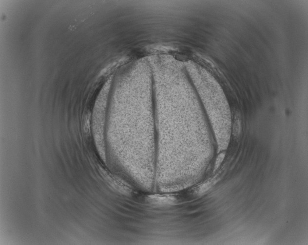 X0000062130477200601060902