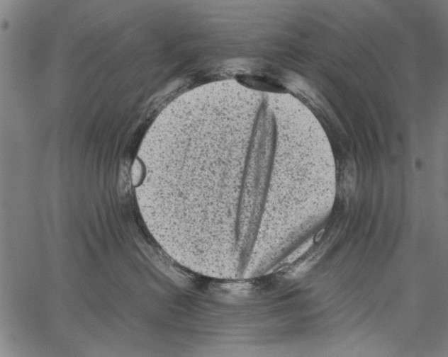 X0000062130478200601060902