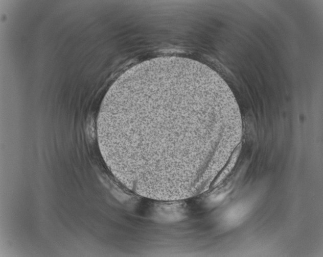 X0000062130479200601060902