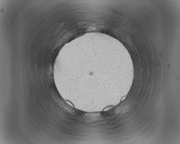 X0000062130480200601060902