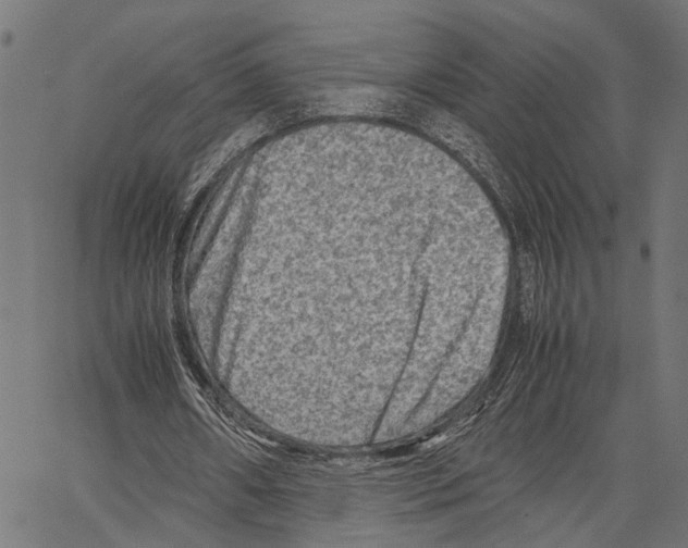 X0000062130482200601060901