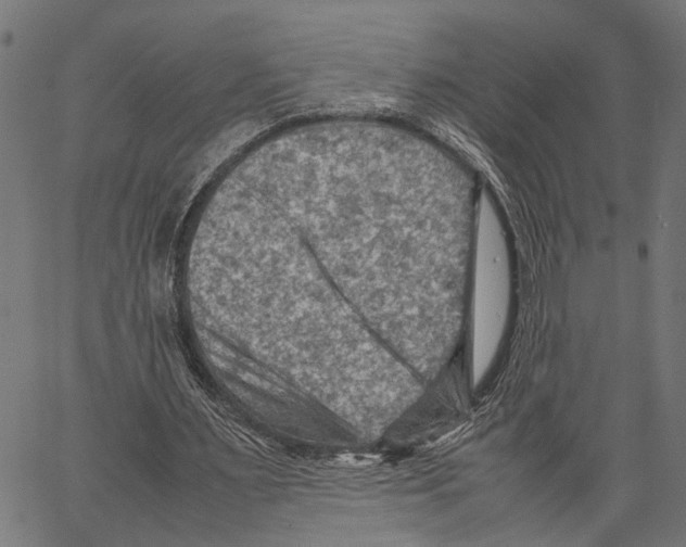 X0000062130483200601060901