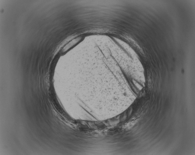 X0000062130484200601060901