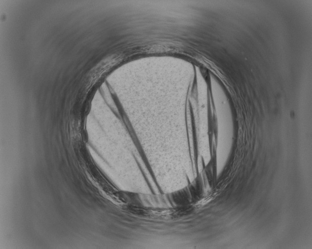 X0000062130485200601060901