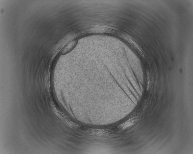 X0000062130486200601060901