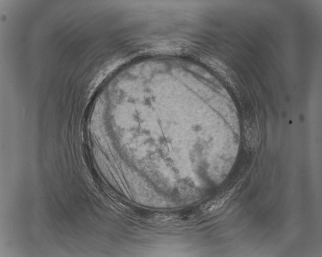 X0000062130487200601060901