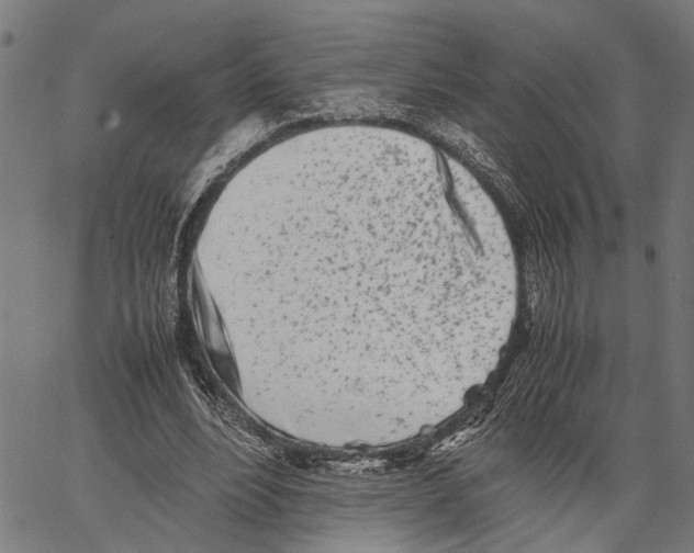 X0000062130488200601060901