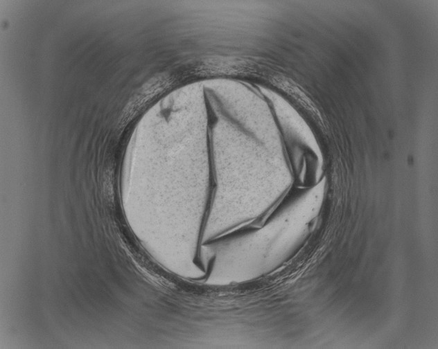 X0000062130489200601060901