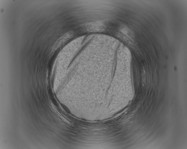 X0000062130490200601060901