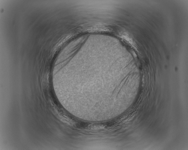 X0000062130491200601060901