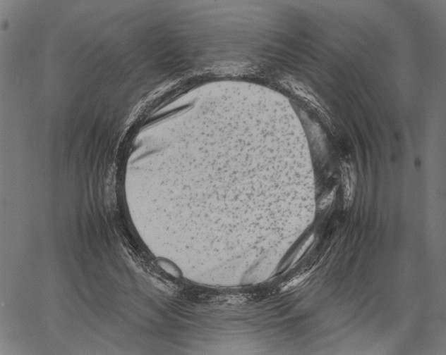 X0000062130492200601060901