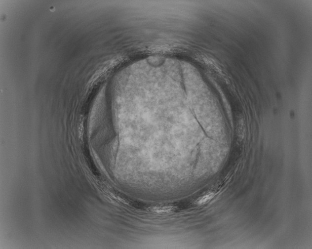 X0000062130495200601060901