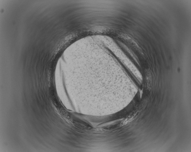 X0000062130496200601060901