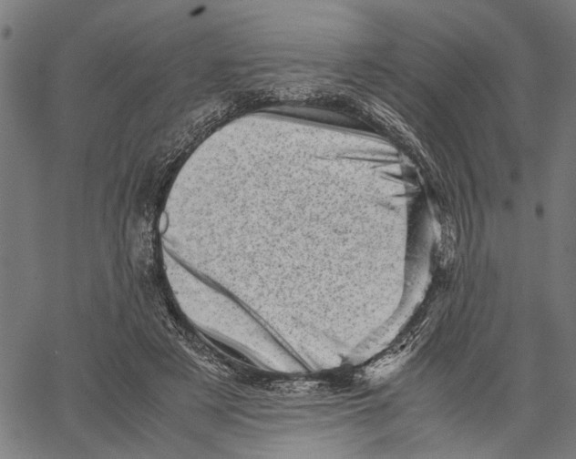 X0000062130497200601060901