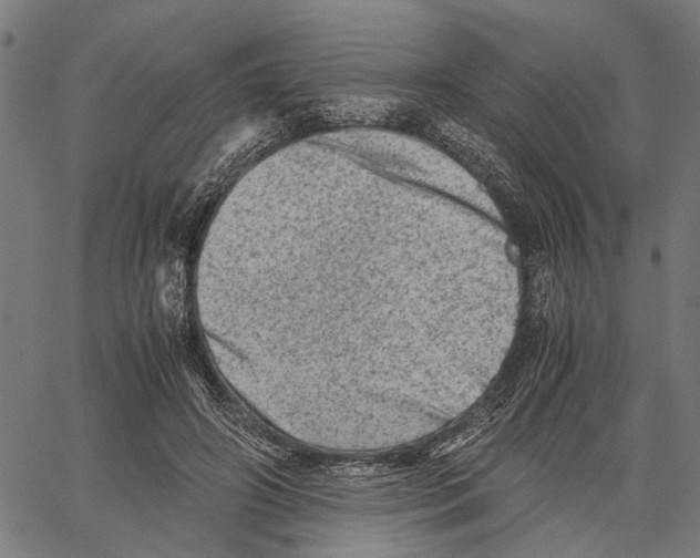 X0000062130498200601060901