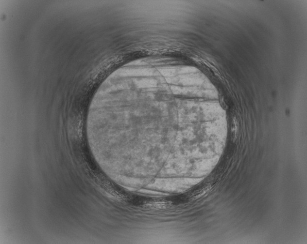 X0000062130499200601060901