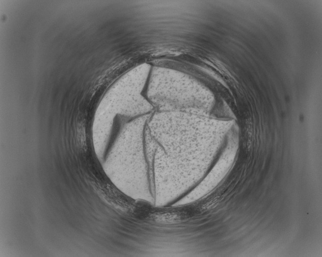 X0000062130500200601060901