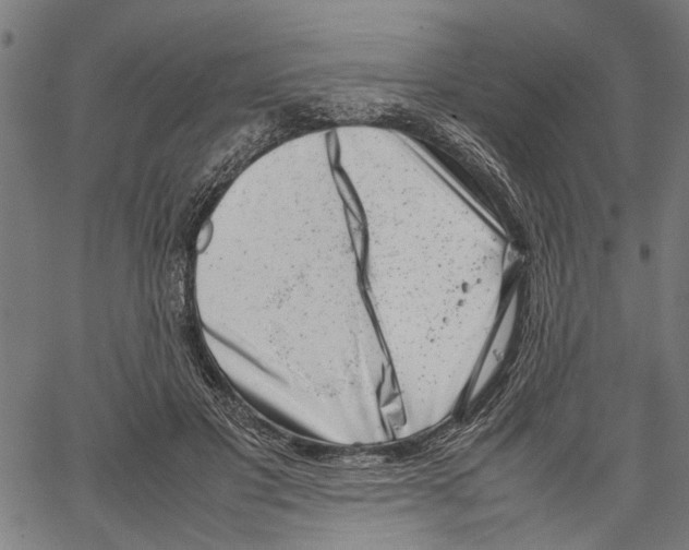 X0000062130501200601060901