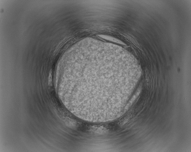 X0000062130502200601060901