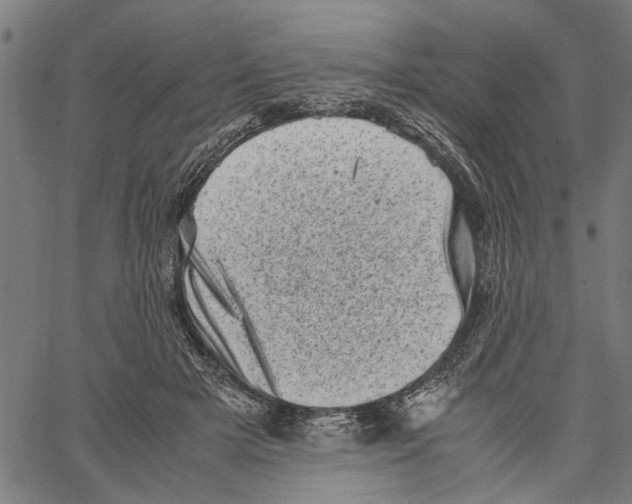 X0000062130505200601060901