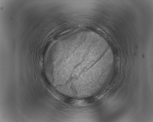 X0000062130507200601060901