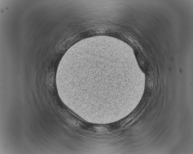 X0000062130509200601060901