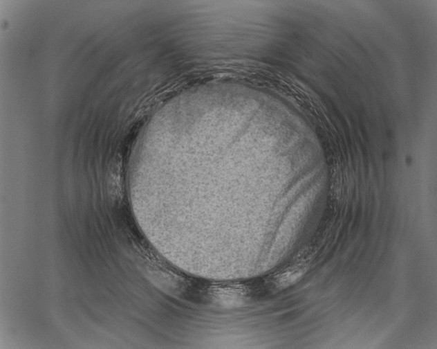 X0000062130510200601060901