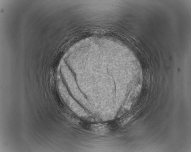 X0000062130511200601060901