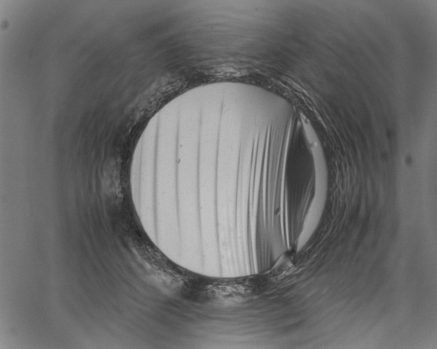 X0000062130512200601060901