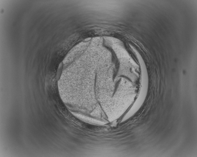 X0000062130513200601060901