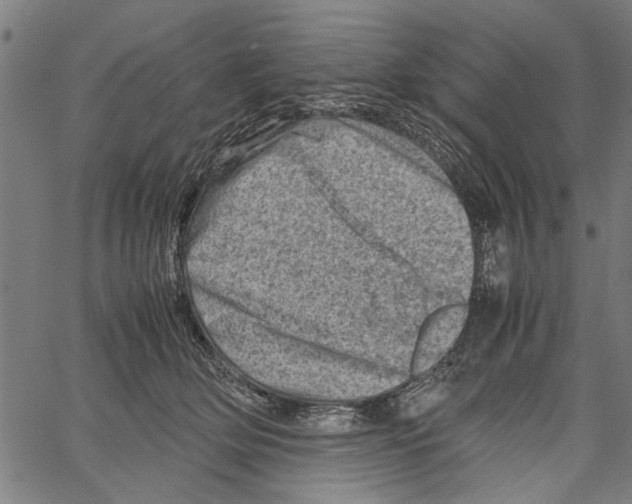 X0000062130514200601060901