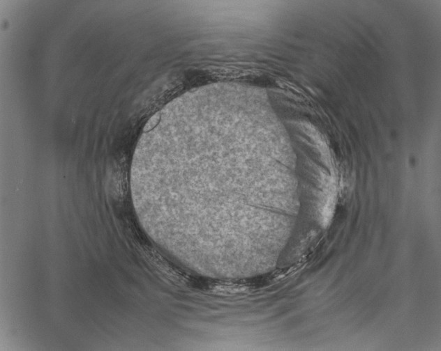 X0000062130515200601060901