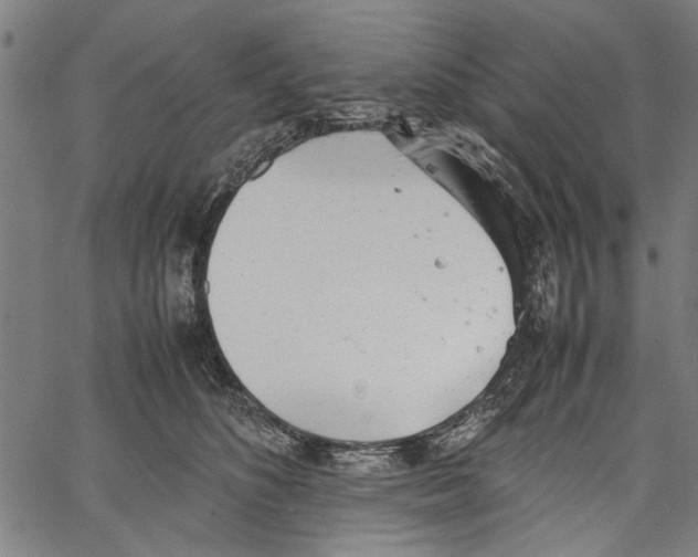 X0000062130516200601060901