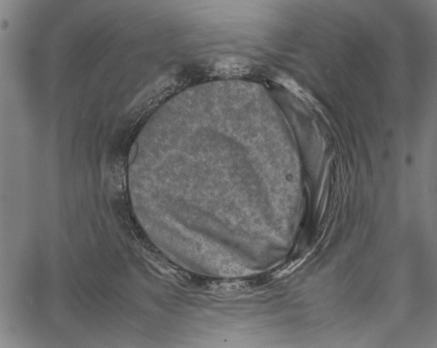 X0000062130517200601060901